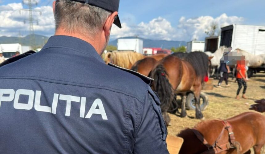 12 amenzi și un dosar penal după controalele poliției la Festivalul Internațional Ecvestru din Baia Mare