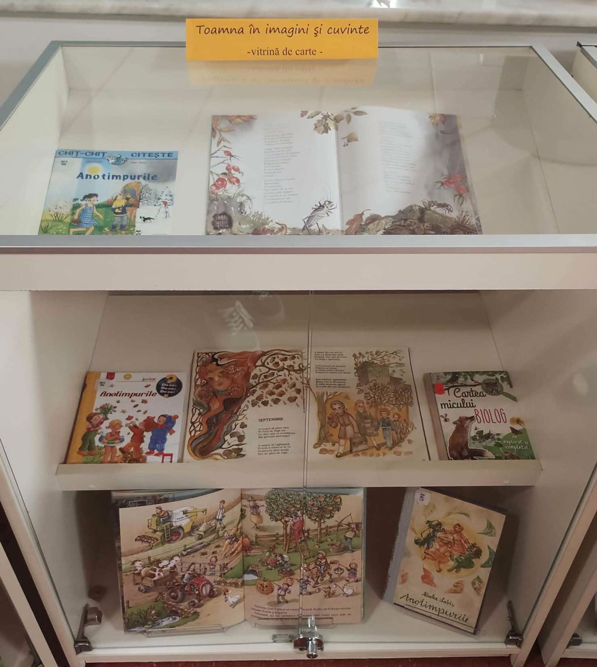 Activitatea „Toamna, distinsa doamnă”, organizată la Ludoteca Bibliotecii Județene „Petre Dulfu”