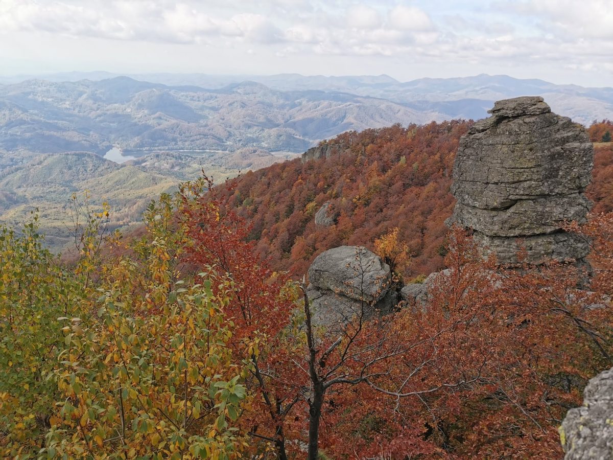 Drumeție pe Vârful Igniș pe 10 octombrie, organizată de Muzeul de Mineralogie Baia Mare de Ziua Geodiversității